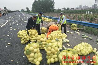 山寨吃瓜群众网红,背后的故事与争议 第2张 山寨吃瓜群众网红,背后的故事与争议 第2张