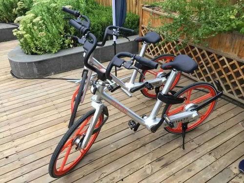 最新土坡自行车爆料视频,最新爆料视频带你领略速度与激情 第3张 最新土坡自行车爆料视频,最新爆料视频带你领略速度与激情 第3张