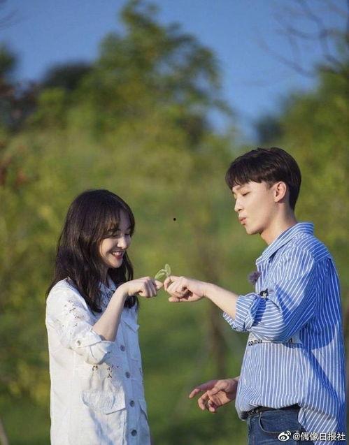 娱乐圈吃瓜科学是什么意思,揭秘娱乐圈八卦背后的真相与规律